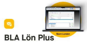 Löneprogram för företag och byråer