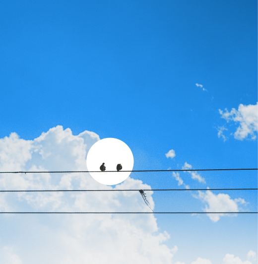 Bli partner och få återbäring