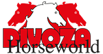Divoza-Horse-World.png