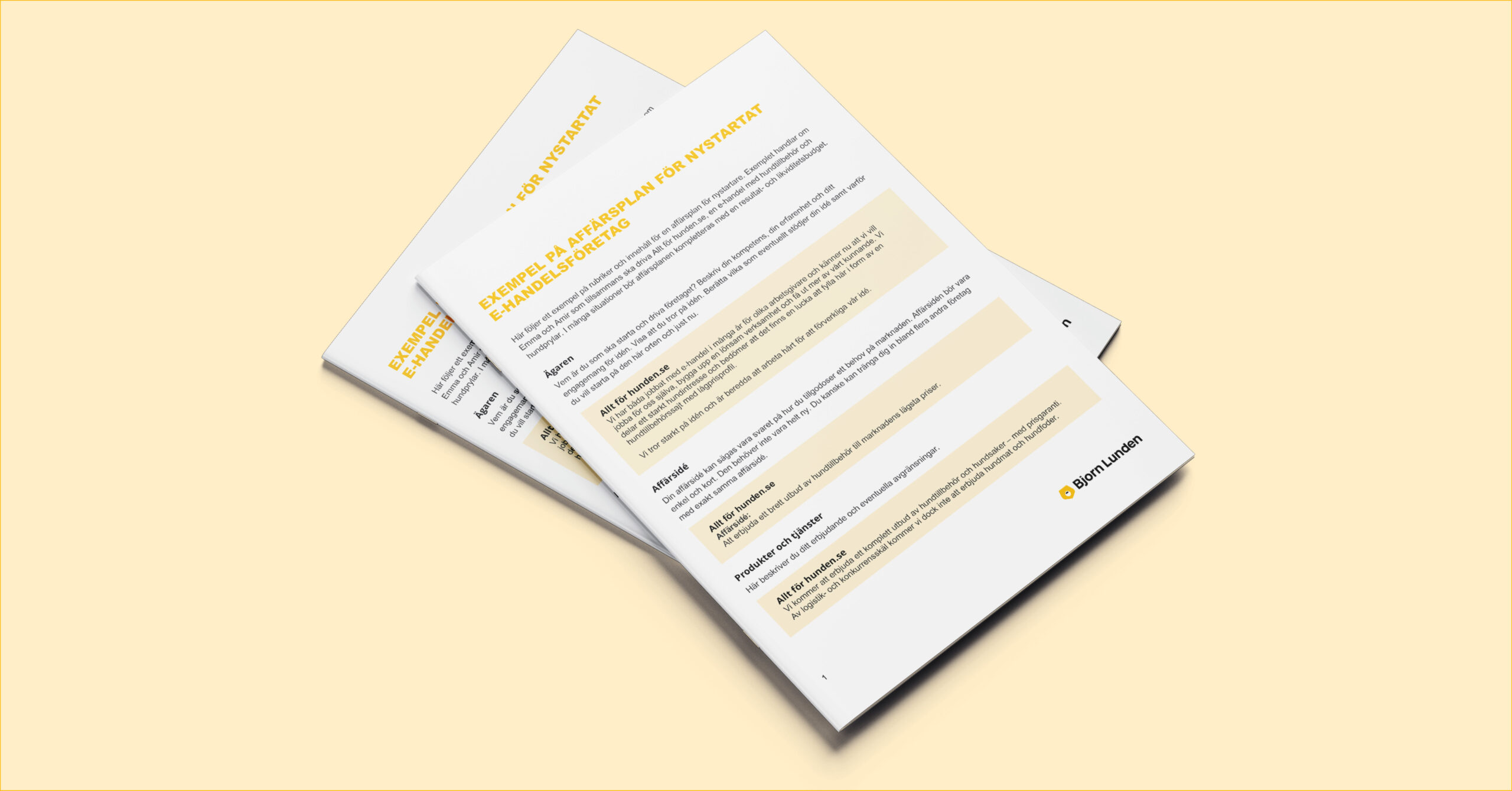 Mall: Så skriver du en affärsplan