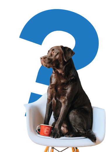 Op zoek naar een baan