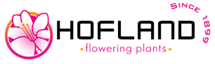 Hofland flowering plants