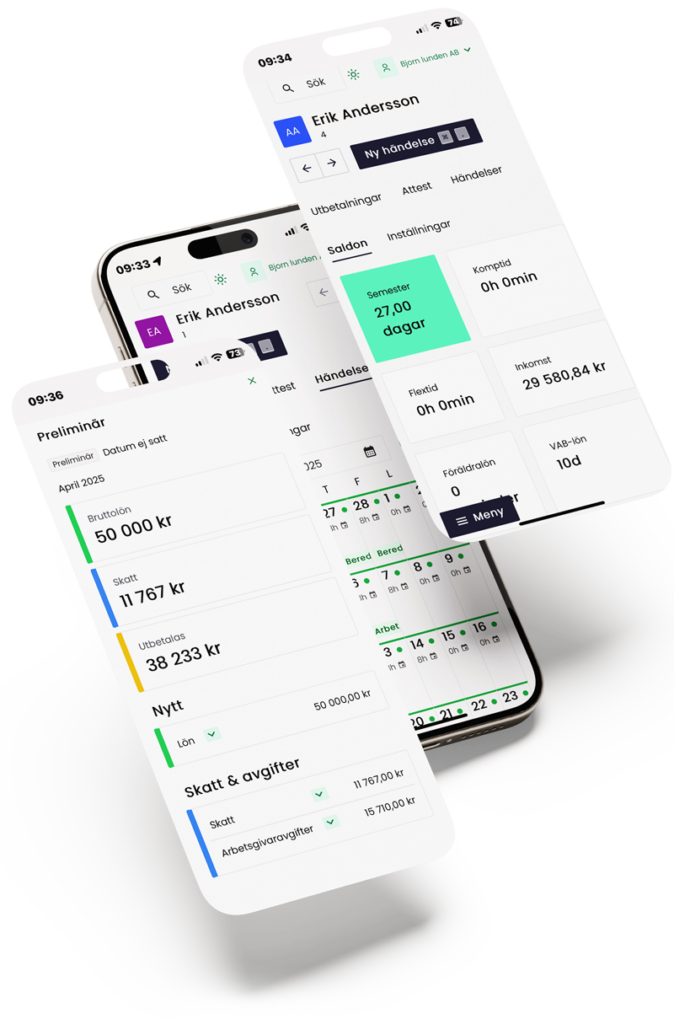 Skärmdump som visar lönesystemet Payroll